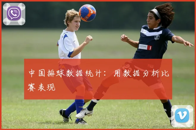 中国排球数据统计：用数据分析比赛表现