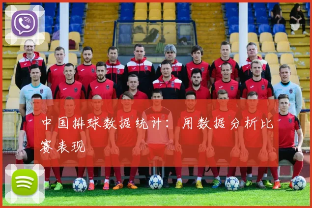中国排球数据统计：用数据分析比赛表现